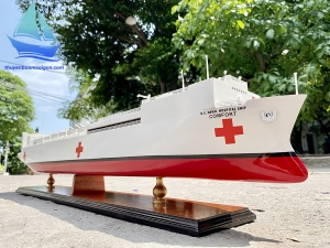 Tàu bệnh viện quân y Việt Nam cứu hộ cứu nạn trên biển